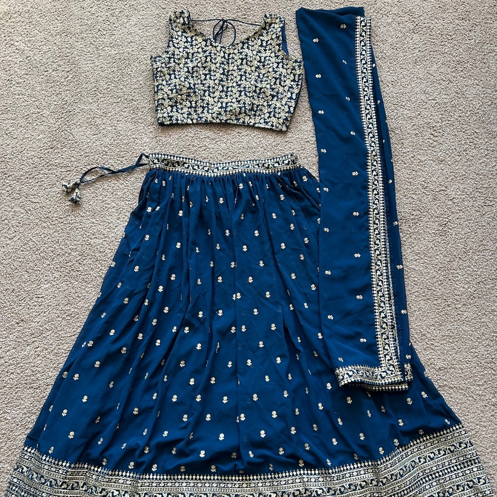 Blue Indian Lehenga and Choli